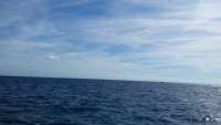Great day of scuba diving in Key Largo with Rainbow Reef on spanish anchor tropical odyssey 2015 01 01 r1104 1