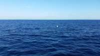 Great day of scuba diving in Key Largo with Rainbow Reef on uscgc bibb tropical voyager 2015 01 07 r1112 1