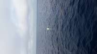 Great day of scuba diving in Key Largo with Rainbow Reef on uscgc duane tropical voyager 2015 01 14 r1122 1