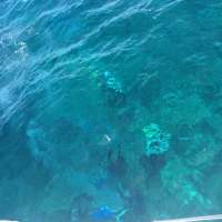 Great day of scuba diving in Key Largo with Rainbow Reef on crf nursery tropical voyager 2015 07 28 r1820 1