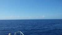Great day of scuba diving in Key Largo with Rainbow Reef on french reef tropical adventure 2015 07 17 r1772 1