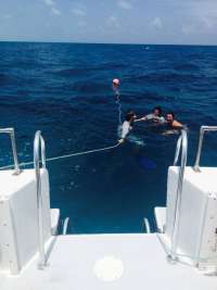 Great day of scuba diving in Key Largo with Rainbow Reef on french reef tropical explorer 2015 07 27 r1817 1