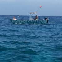Great day of scuba diving in Key Largo with Rainbow Reef on molasses reef tropical explorer 2015 07 19 r1782 1