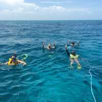 Great day of scuba diving in Key Largo with Rainbow Reef on molasses reef tropical explorer 2015 07 19 r1782 2
