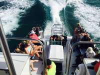 Great day of scuba diving in Key Largo with Rainbow Reef on molasses reef tropical voyager 2015 07 04 r1713 1