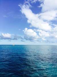 Great day of scuba diving in Key Largo with Rainbow Reef on molasses reef tropical voyager 2015 07 13 r1751 1