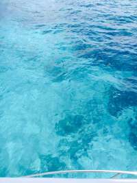 Great day of scuba diving in Key Largo with Rainbow Reef on molasses reef tropical voyager 2015 07 17 r1773 1