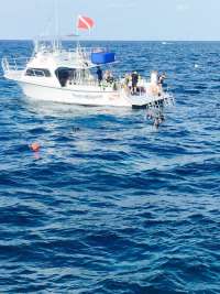 Great day of scuba diving in Key Largo with Rainbow Reef on molasses reef tropical voyager 2015 07 27 r1813 1
