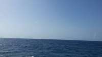 Great day of scuba diving in Key Largo with Rainbow Reef on north star tropical odyssey 2015 07 08 r1730 1