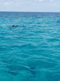 Great day of scuba diving in Key Largo with Rainbow Reef on sand island tropical voyager 2015 07 15 r1759 1
