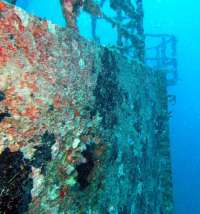 Great day of scuba diving in Key Largo with Rainbow Reef on spiegel grove tropical odyssey 2015 07 16 r1762 1