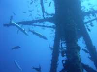 Great day of scuba diving in Key Largo with Rainbow Reef on uscgc duane tropical adventure 2015 07 24 r1801 1