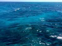 Great day of scuba diving in Key Largo with Rainbow Reef on city of washington tropical odyssey 2015 06 23 r1662 2
