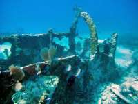 Great day of scuba diving in Key Largo with Rainbow Reef on city of washington tropical odyssey 2015 06 30 r1700 2