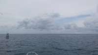 Great day of scuba diving in Key Largo with Rainbow Reef on french reef tropical adventure 2015 06 05 r1584 1