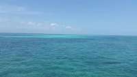 Great day of scuba diving in Key Largo with Rainbow Reef on french reef tropical voyager 2015 06 29 r1695 1