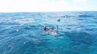 Great day of scuba diving in Key Largo with Rainbow Reef on molasses reef tropical explorer 2015 06 19 r1638 1