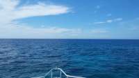 Great day of scuba diving in Key Largo with Rainbow Reef on molasses reef tropical odyssey 2015 06 20 r1644 1