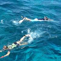 Great day of scuba diving in Key Largo with Rainbow Reef on molasses reef tropical voyager 2015 06 07 r1596 1