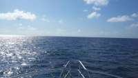 Great day of scuba diving in Key Largo with Rainbow Reef on north star tropical adventure 2015 06 17 r1631 1