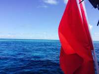 Great day of scuba diving in Key Largo with Rainbow Reef on pickles reef tropical voyager 2015 06 19 r1639 1