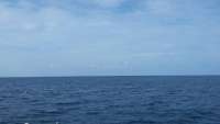 Great day of scuba diving in Key Largo with Rainbow Reef on spiegel grove tropical adventure 2015 06 10 r1604 1
