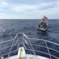 Great day of scuba diving in Key Largo with Rainbow Reef on spiegel grove tropical adventure 2015 06 13 r1614 1