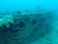 Great day of scuba diving in Key Largo with Rainbow Reef on spiegel grove tropical adventure 2015 06 23 r1660 1