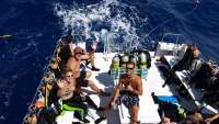 Great day of scuba diving in Key Largo with Rainbow Reef on spiegel grove tropical voyager 2015 06 13 r1615 1