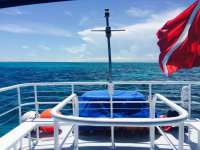 Great day of scuba diving in Key Largo with Rainbow Reef on the horseshoe tropical adventure 2015 06 20 r1648 1