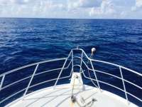 Great day of scuba diving in Key Largo with Rainbow Reef on uscgc duane tropical adventure 2015 06 22 r1656 1