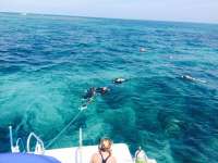 Great day of scuba diving in Key Largo with Rainbow Reef on banana patch tropical adventure 2015 03 23 r1313 1