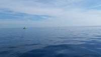 Great day of scuba diving in Key Largo with Rainbow Reef on drift french tropical adventure 2015 03 19 r1292 1