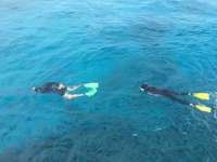 Great day of scuba diving in Key Largo with Rainbow Reef on french reef tropical odyssey 2015 03 24 r1316 2