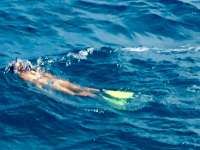 Great day of scuba diving in Key Largo with Rainbow Reef on french reef tropical odyssey 2015 03 31 r1345 1