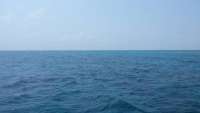 Great day of scuba diving in Key Largo with Rainbow Reef on french twist tropical odyssey 2015 03 26 r1326 1