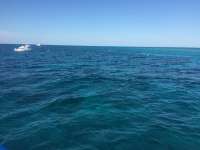 Great day of scuba diving in Key Largo with Rainbow Reef on hole in the wall tropical odyssey 2015 03 30 r1340 2