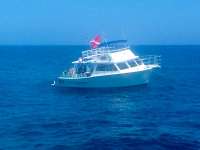 Great day of scuba diving in Key Largo with Rainbow Reef on molasses deep tropical odyssey 2015 03 15 r1276 2