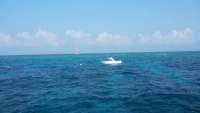 Great day of scuba diving in Key Largo with Rainbow Reef on molasses reef tropical adventure 2015 03 27 r1328 1