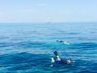 Great day of scuba diving in Key Largo with Rainbow Reef on molasses reef tropical explorer 2015 03 21 r1303 1