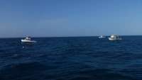 Great day of scuba diving in Key Largo with Rainbow Reef on molasses reef tropical odyssey 2015 03 11 r1263 1