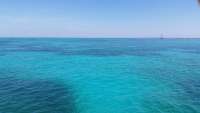 Great day of scuba diving in Key Largo with Rainbow Reef on molasses reef tropical odyssey 2015 03 18 r1288 1