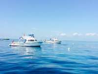 Great day of scuba diving in Key Largo with Rainbow Reef on north star tropical voyager 2015 03 20 r1297 2