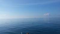 Great day of scuba diving in Key Largo with Rainbow Reef on permit ledges tropical odyssey 2015 03 19 r1291 1