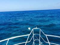 Great day of scuba diving in Key Largo with Rainbow Reef on pickle barrel wreck tropical adventure 2015 03 02 r1244 1