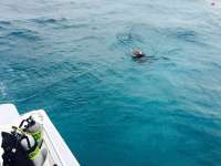 Great day of scuba diving in Key Largo with Rainbow Reef on pickle barrel wreck tropical odyssey 2015 03 28 r1333 1