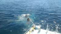 Great day of scuba diving in Key Largo with Rainbow Reef on spiegel grove tropical voyager 2015 03 19 r1295 1