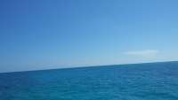 Great day of scuba diving in Key Largo with Rainbow Reef on conch pillars tropical odyssey 2015 05 30 r1566 1