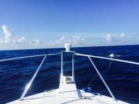 Great day of scuba diving in Key Largo with Rainbow Reef on french reef tropical explorer 2015 05 30 r1563 1
