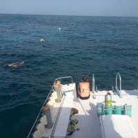 Great day of scuba diving in Key Largo with Rainbow Reef on french reef tropical voyager 2015 05 10 r1485 1